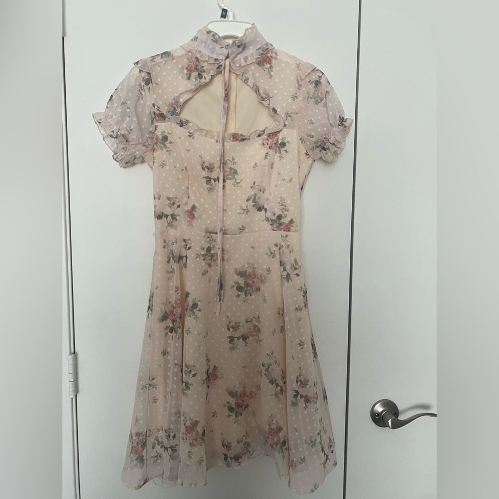 Vintage style floral pink dress.